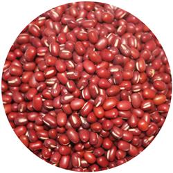 Aduzki Beans